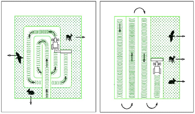 Grafik, die zwei unterschiedliche Mähstrategien und deren Auswirkung auf das Fliehverhalten von Wildtieren veranschaulicht