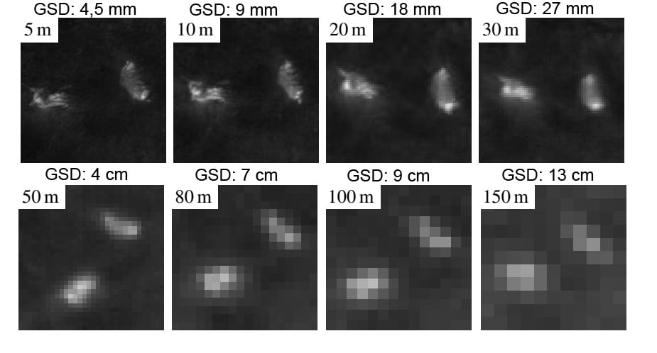 Grafik, die Wärmebilder von zwei Rehkitzen aus verschiedenen höhen zeigt und verdeutlicht, wie sich die Pixelbodenauflösung verändert