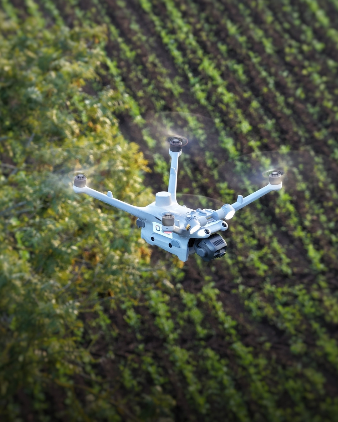 Tobias Dahms mit gerettetem Rehkitz